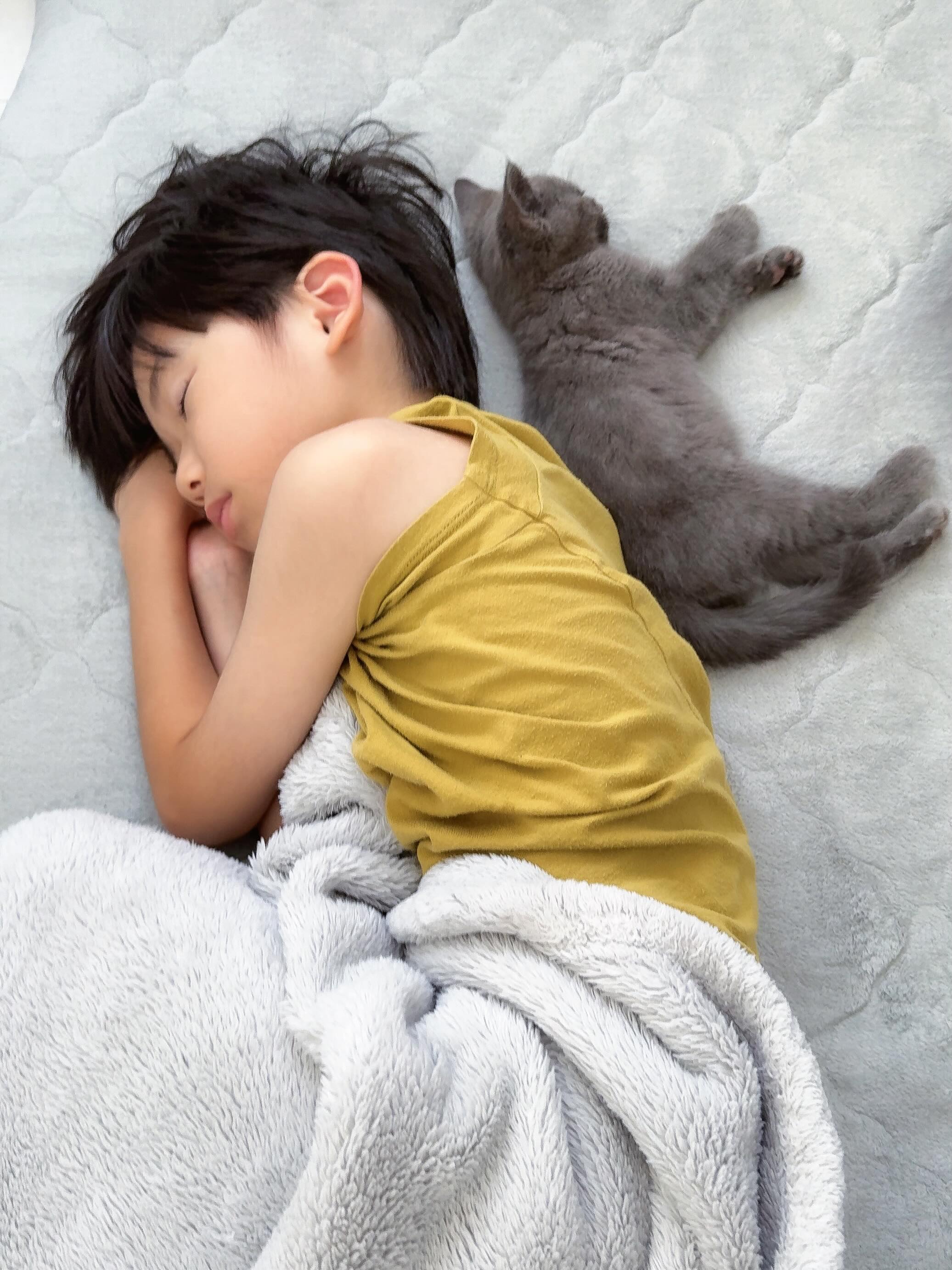 子どもともちが寄り添って休んでいる写真